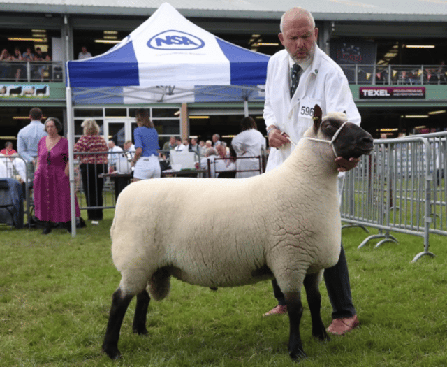 Flock makes it six out of seven at Royal Welsh