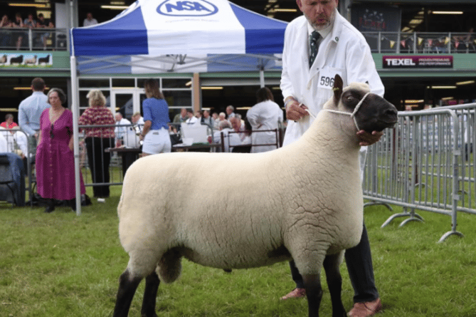 Mike Eckley, Royal Welsh