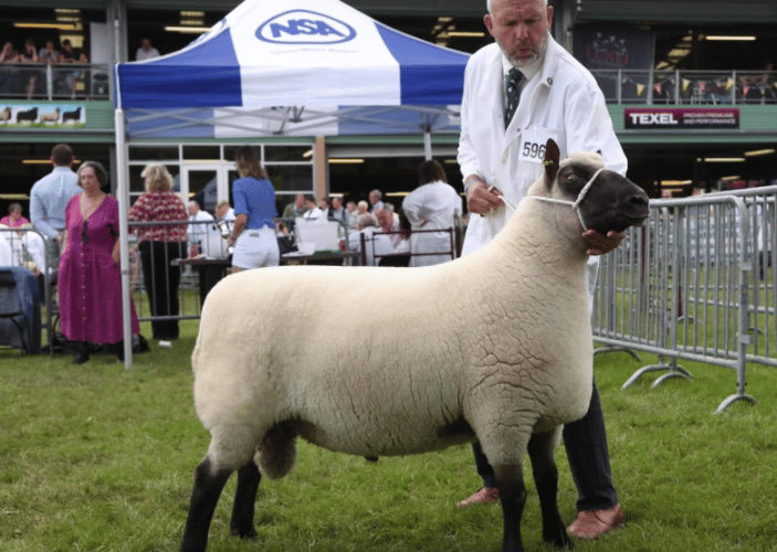 Mike Eckley, Royal Welsh