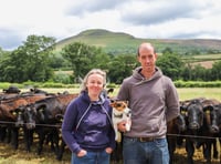 Llangorse farmers to showcase innovation at September farm walk event