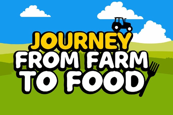 The Journey from Farm to Food animated video series aims to educate children on farming in Wales and how red meat is produced. 