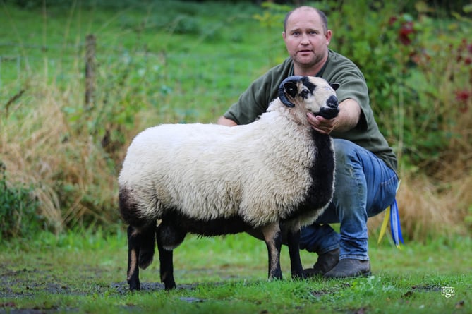 Sale leader and setting a new ram lamb record at 2250gns was a ram lamb from Gareth Jones.