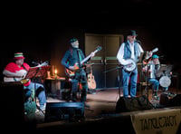 Acoustic acts and fungus fun at Llandovery Market