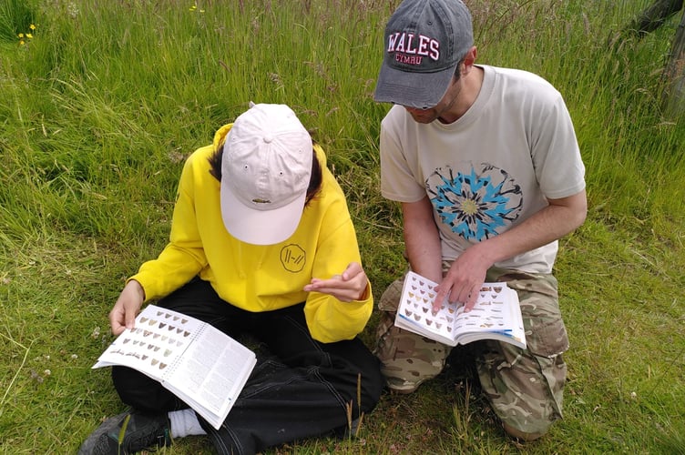 Moth trapping at Pentwyn