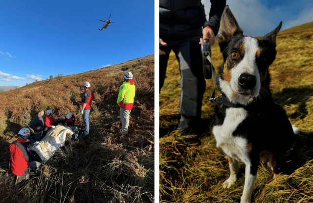 Dog and owner help notify rescue team of unwell walker