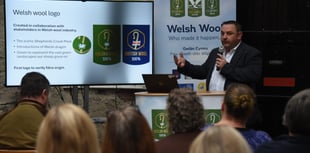 British Wool heads to Royal Welsh Winter Fair