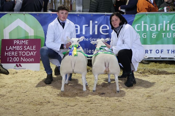 Supreme Sheep Champion - a pair of Beltex lambs