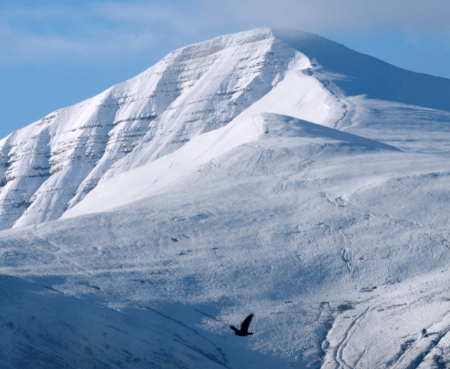 Watch here: First signs of winter!