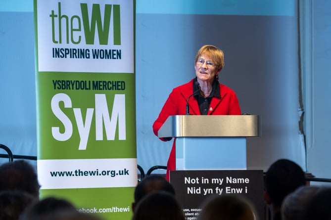 NFWI Wales White Ribbon day vigil at the Pierhead, Cardiff Bay, 18th November 2024. Natasha Hirst photography