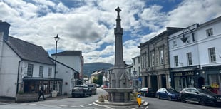 Crickhowell secures £11,500 grant to boost local nature recovery