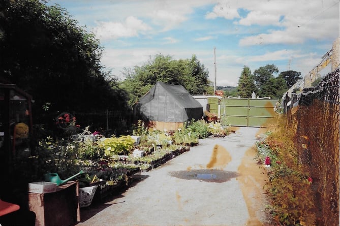 The Old Railway Line Garden Centre began in 1990 as a small 8x6ft greenhouse, laying the foundation for what would become a thriving family-run business.