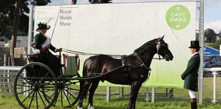 Equine judges announced for Royal Welsh Show