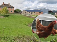 Plans to expand chicken farm rejected by Powys planners