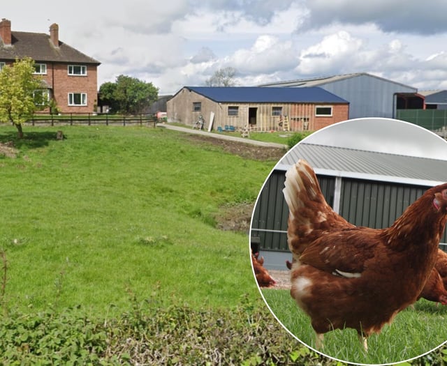 Plans to expand chicken farm rejected by Powys planners