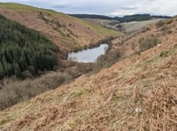 Residents aim to restore river's freshwater habitats