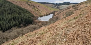 Residents aim to restore river's freshwater habitats