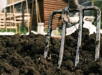 Allotments up for grabs in Llandrindod 