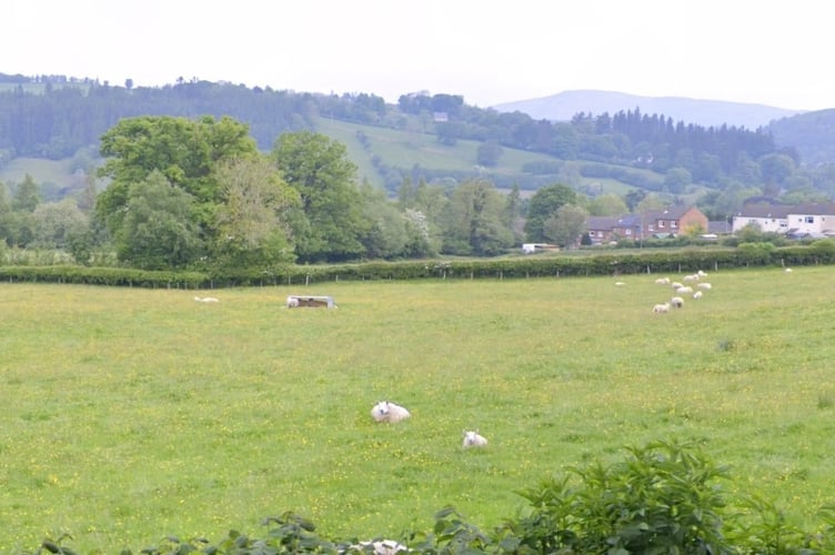 The fields near Dolwgwenith and Tan y Bryn Du Road in Llanidloes