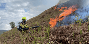 Cwmdu grass fire destroys 300 x 500 metre grassland area